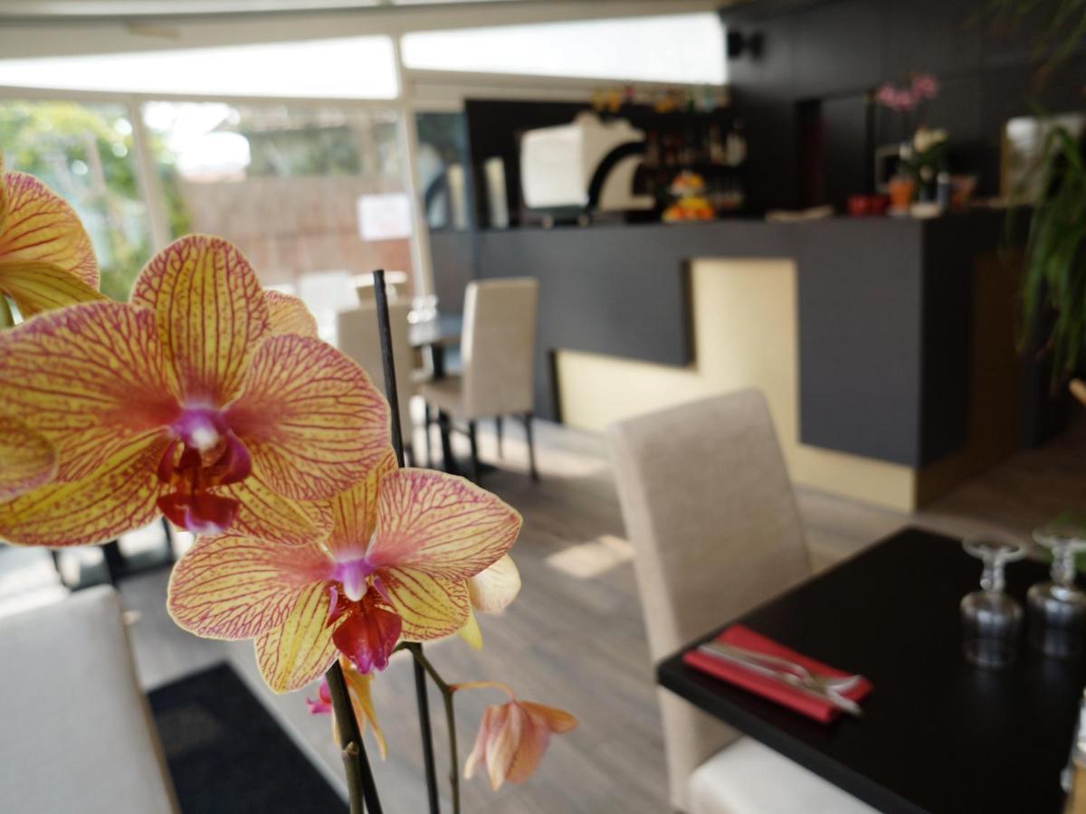 Hotel Et Studios Le Marina Baie De La Baule بورنيشّيه المظهر الخارجي الصورة